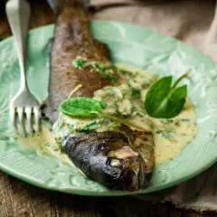 Poisson entier nappé d'une onctueuse sauce à l'oseille, garni de feuilles vertes fraîches, sur une assiette menthe.