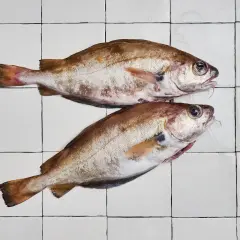 Deux poissons tacauds frais, prêts à être cuisinés, reposent sur un carrelage blanc.