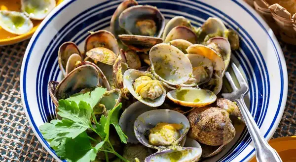 Tellines à la persillade dans un plat bleu et blanc, garnies de persil frais.