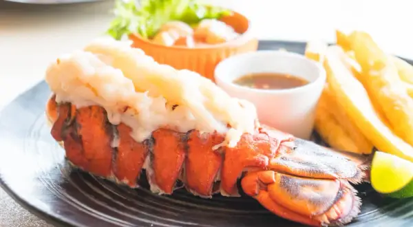 Un succulent homard grillé, accompagné de frites croustillantes, d'une sauce savoureuse et d'une touche de citron vert.
