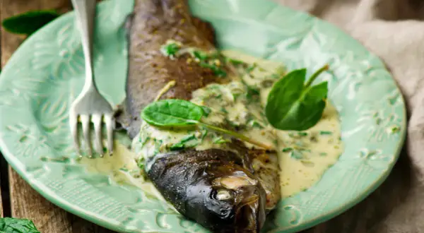Poisson entier nappé d'une onctueuse sauce à l'oseille, garni de feuilles vertes fraîches, sur une assiette menthe.