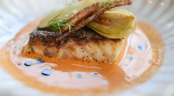 Un filet de poisson poêlé, garni de fenouil et de fines herbes, baignant dans un onctueux fumet de poisson orangé.