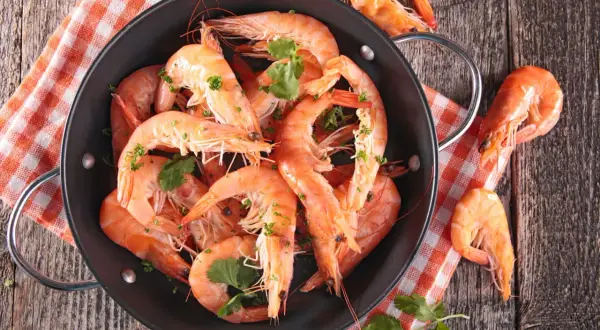 Un plat de crevettes grises fraîchement cuites, garnies de persil, sur une nappe à carreaux orange et blanche.