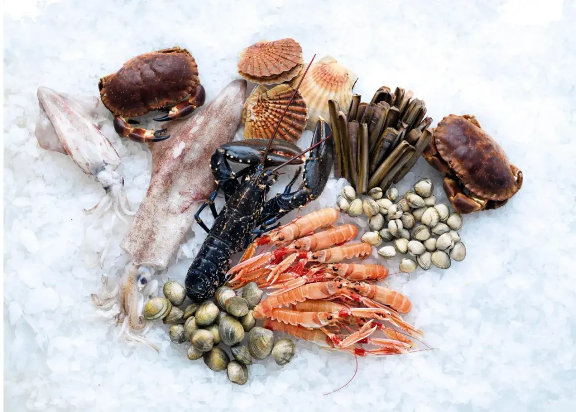 Assortiment de fruits de mer frais sur glace : langoustines, homard, crabes, couteaux, coquillages, calamars. Idéal pour la conservation poisson frais frigo.