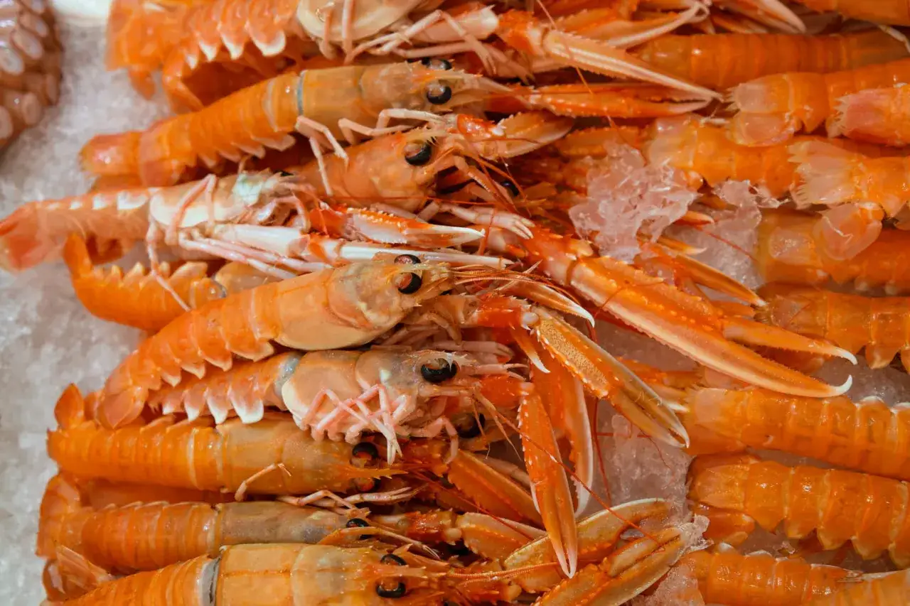 Un tas de langoustines fraîches sur de la glace, prêtes pour la cuisson. Leurs carapaces orange vif promettent un délice marin.