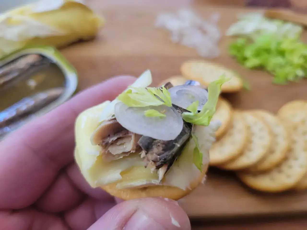 Une bouch&eacute;e ap&eacute;ritive : une recette simple avec des anchois, du fromage, des oignons et de la salade sur un biscuit.