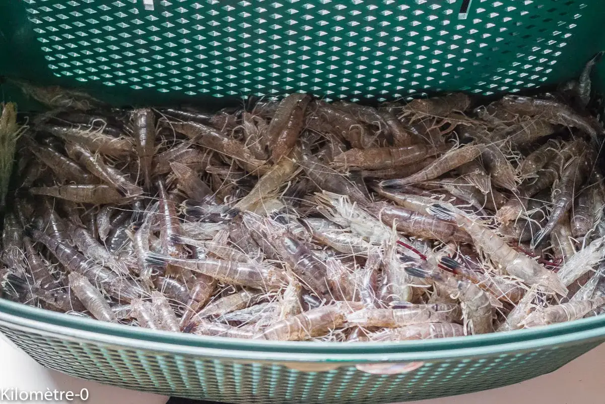 Un panier rempli de crevettes grises pr&ecirc;tes pour la cuisson.