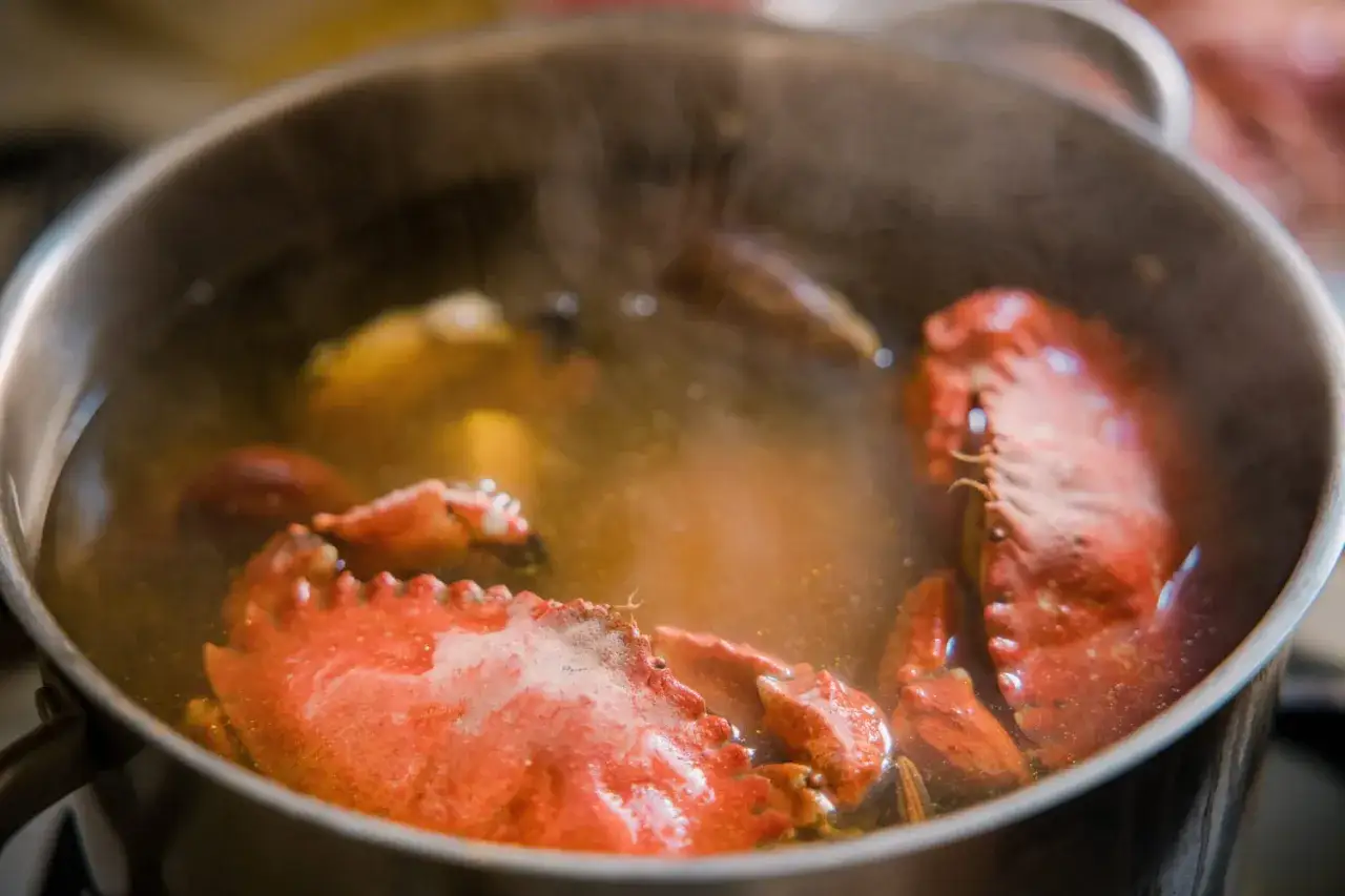 Gros plan sur la cuisson crabe dans une marmite bouillonnante. La vapeur s'&eacute;chappe, r&eacute;v&eacute;lant des morceaux de crustac&eacute;s rouges.