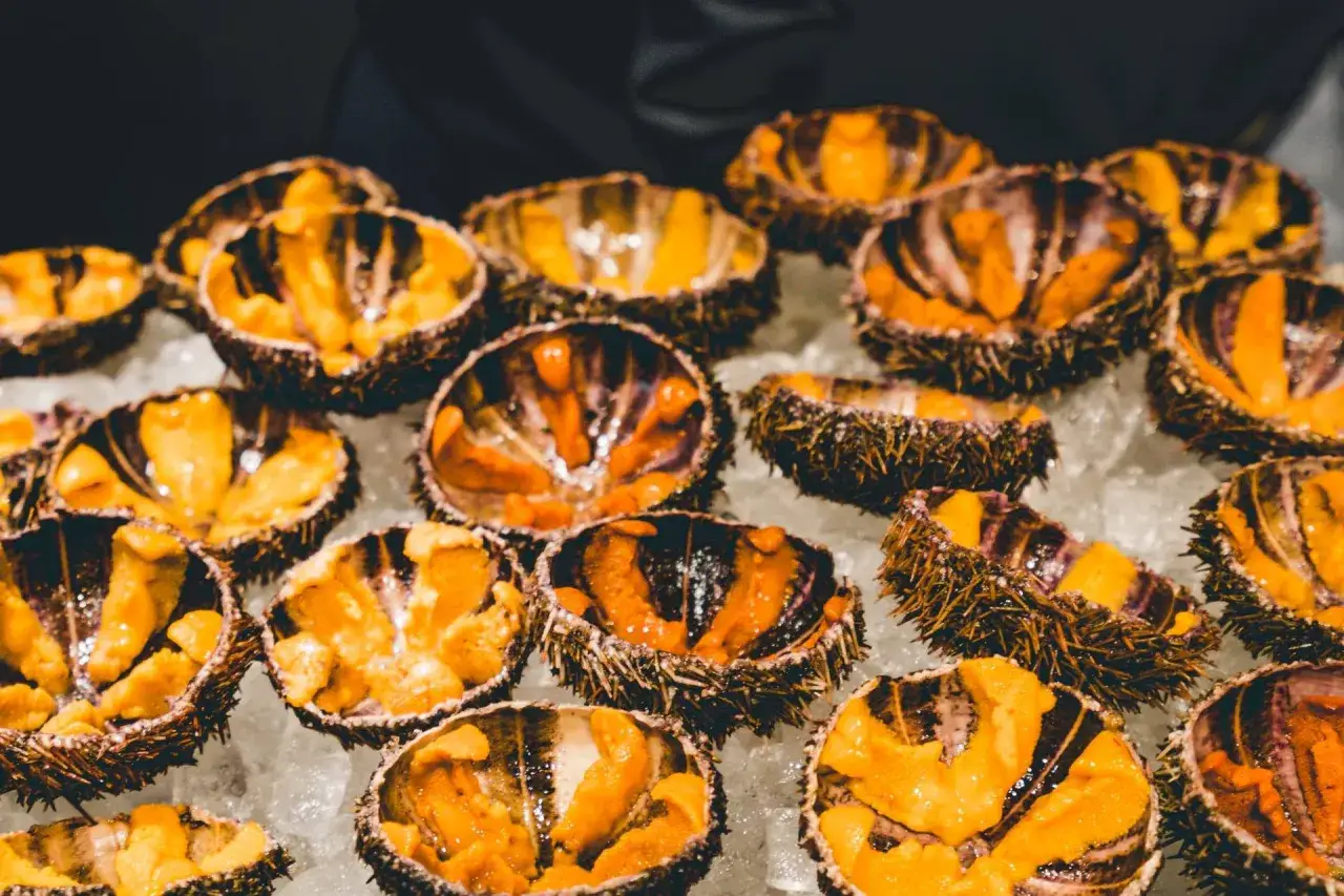 Un plateau de fruits de mer frais pr&eacute;sente de nombreux oursins pr&ecirc;ts &agrave; manger, leur chair orang&eacute;e brillante contrastant avec leurs piquants sombres.