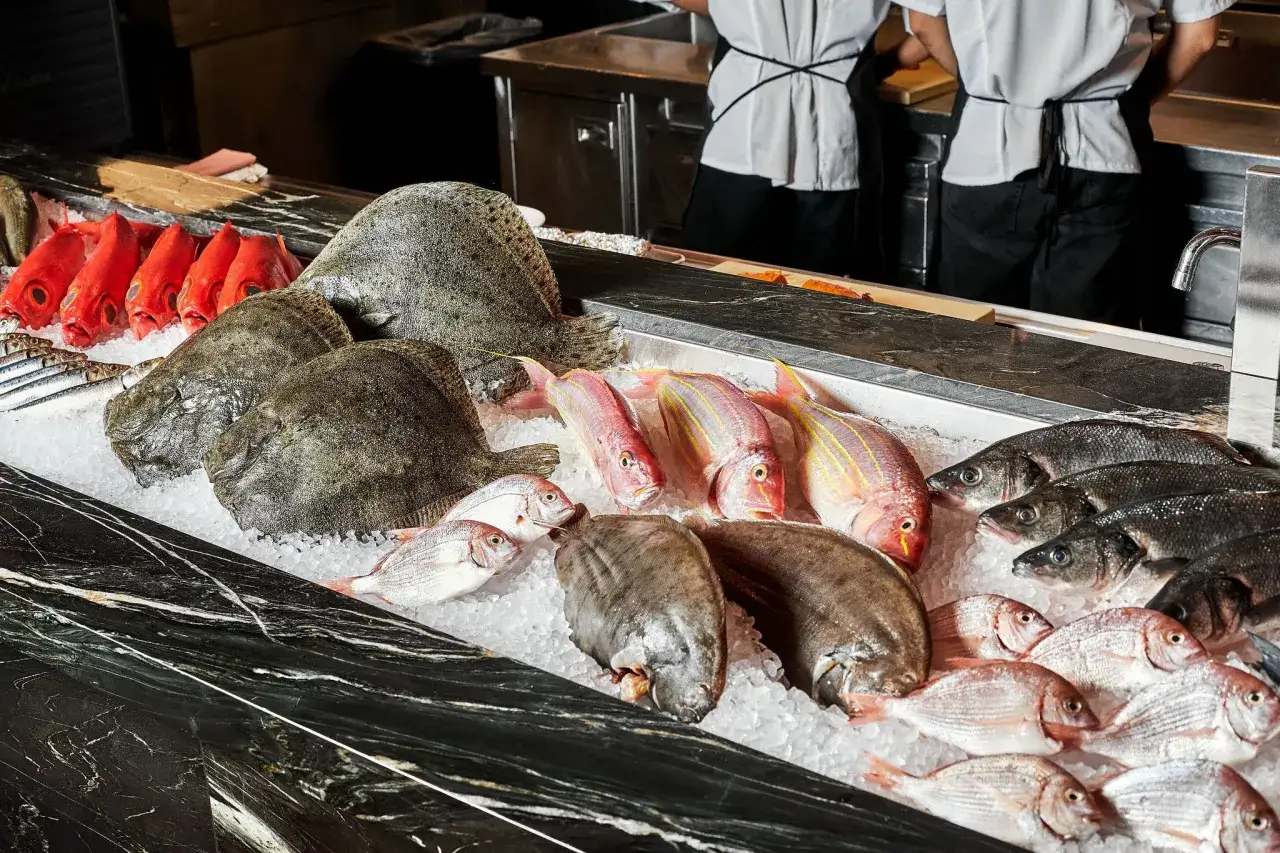 Un &eacute;tal de poisson frais pr&eacute;sente des turbots, des poissons rouges, des dorades et d'autres esp&egrave;ces sur un lit de glace.