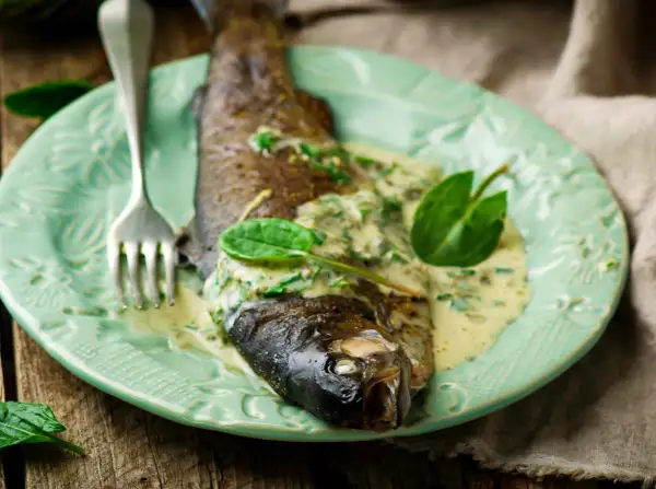 Poisson entier nappé d'une onctueuse sauce à l'oseille, garni de feuilles vertes fraîches, sur une assiette menthe.